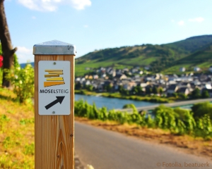 Moselsteig