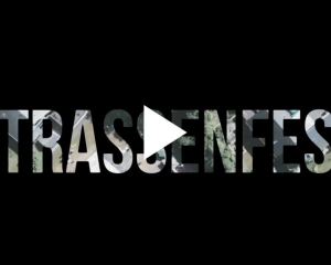 Straßenfest „Im Acker“ – 20.06.2019